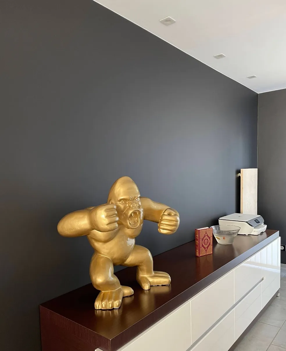 Mur de salon repeint en gris fonce